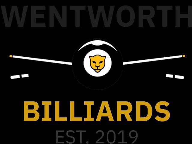 Image of video the WIT Billiards x WEB 8-Ball Tournament | Table 1 14