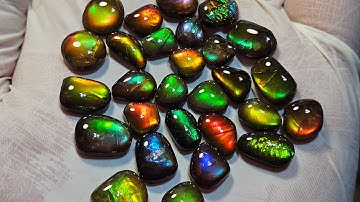 How to make Ammolite Gemstones with Fossil Dad 2023: Part 3, Arbor Wheels.