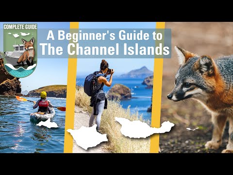 Video: Una guía para el Parque Nacional Channel Islands de California