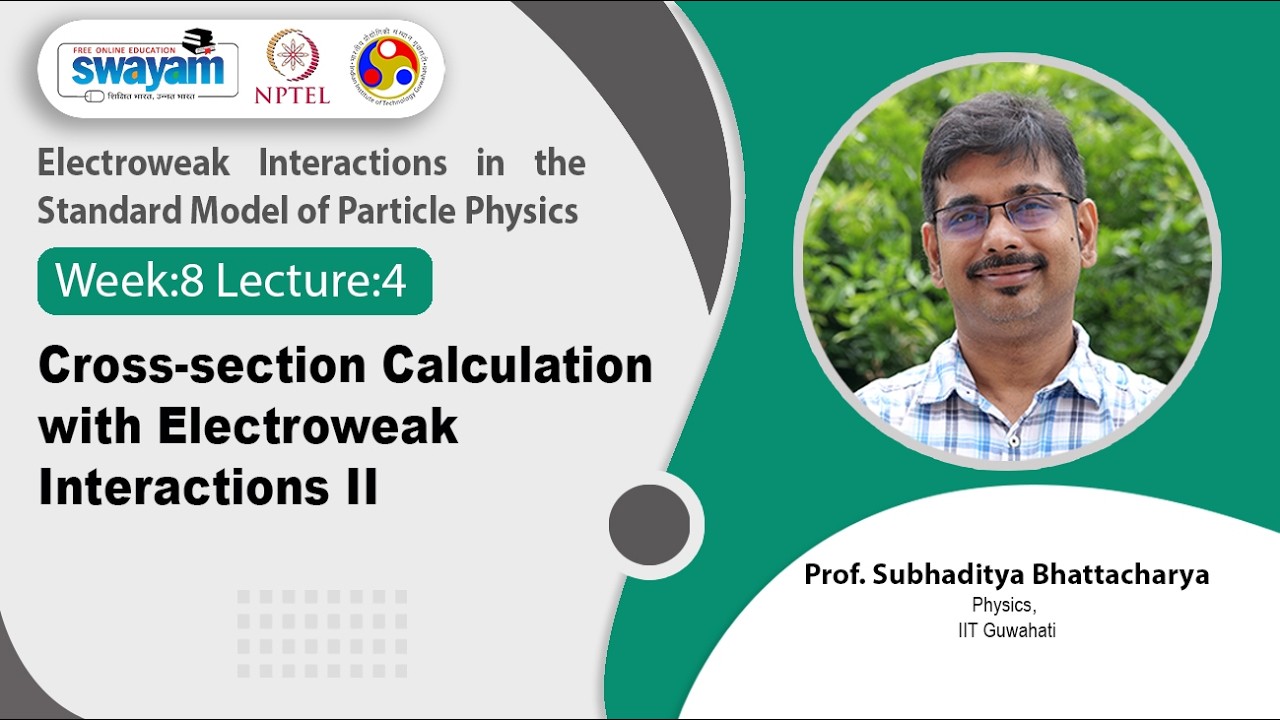 Lec 40: Cross-section calculation with Electroweak Interactions II