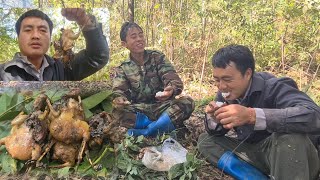 Tij Huaj Wb Mus Yos Noog Ci Noj Yam Kaj Siab Lug Xwb Nawb Qab Tiag Tiag 25112025