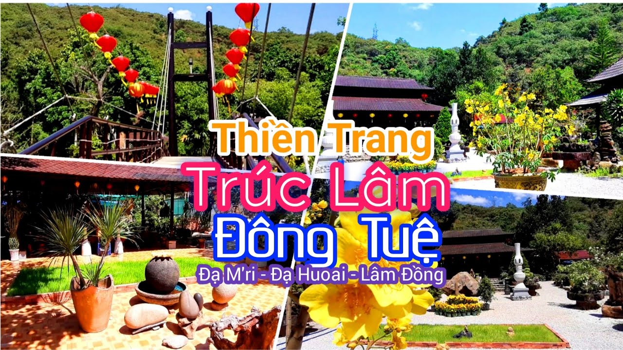 THIỀN TRANG TRÚC LÂM ĐÔNG TUỆ Đẹp Thanh Thoát Bên Chân Đèo Bảo Lộc, TT Đạ M'ri
