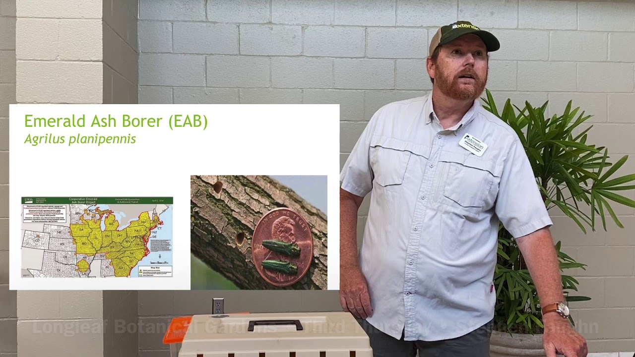 Third Thursday: Invasive Species in the Southeastern United States