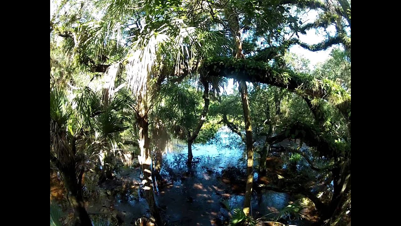 indian mounds in florida Myakka Canopy Walkway
