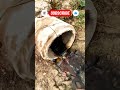 NEW JBL SPEAKER TESTING #ytshorts #shortvideo #jblhardbass