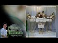 ARTIFICIAL FLOWER ARRANGEMENT IDEAS | SHABKA | GROOM'S WEDDING GIFT @Flowers Khen