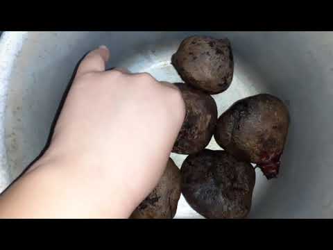 فيديو: كيفية طهي جذر الشمندر البارد بسرعة