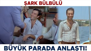 Şark Bülbülü Türk Filmi | Büyük Paraya Şampuanın Marka Yüzü Oldu! Kemal Sunal Filmleri