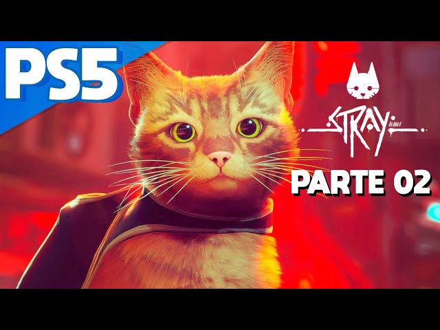 Stray: Gatos no escritório, realismo e a criação do “jogo de gatinho”