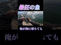 釣りfishing#釣り #fishing #shark #jaws