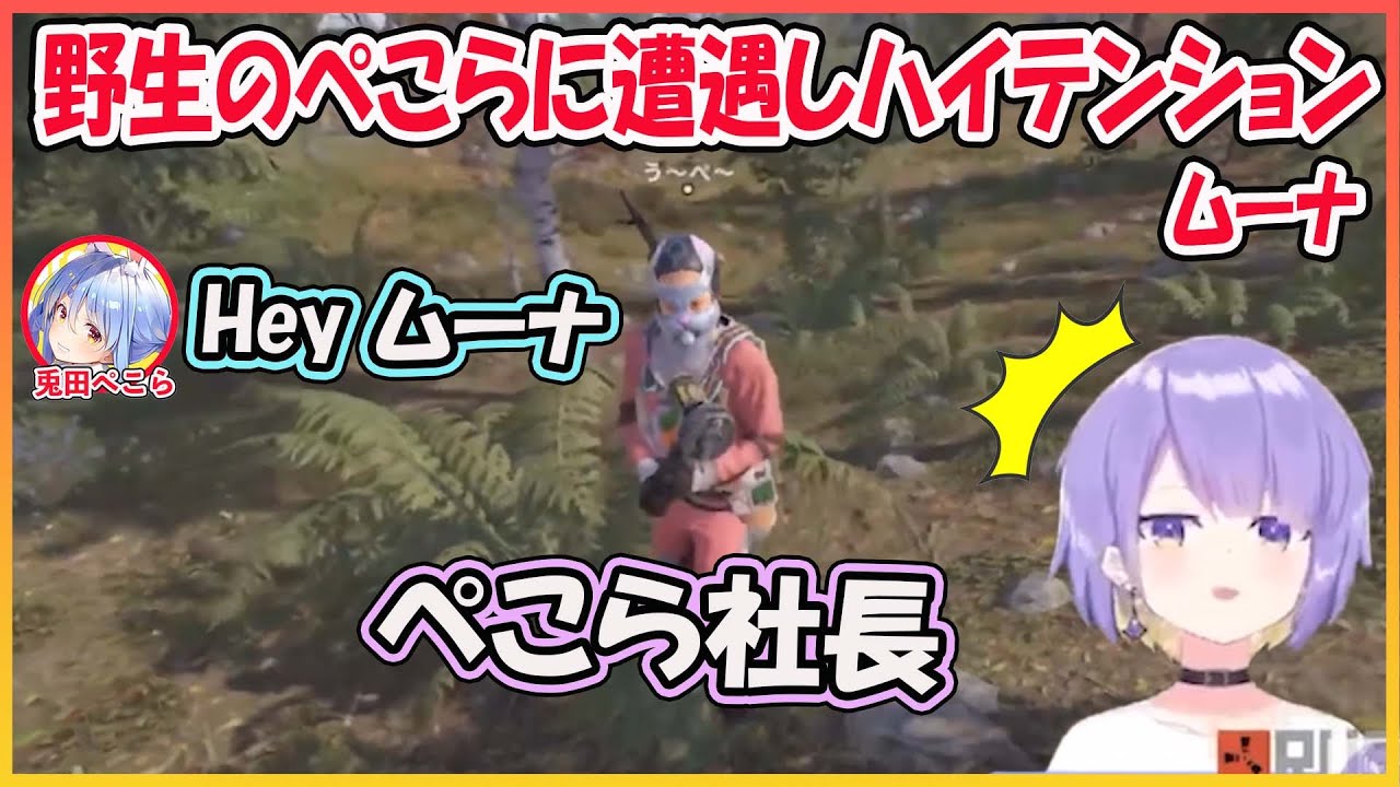 【ホロライブ切り抜き】野生のぺこらに遭遇しハイテンションムーナ もらった銃でピンチを切り抜ける【兎田ぺこら/ムーナ/hololive】