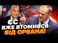 🔥Потужно! Польща РОЗМАЗАЛА Орбана заявою / Третя СВІТОВА вже триває!