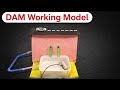 How to Make a Dam Model 💧 | Easy Science Project