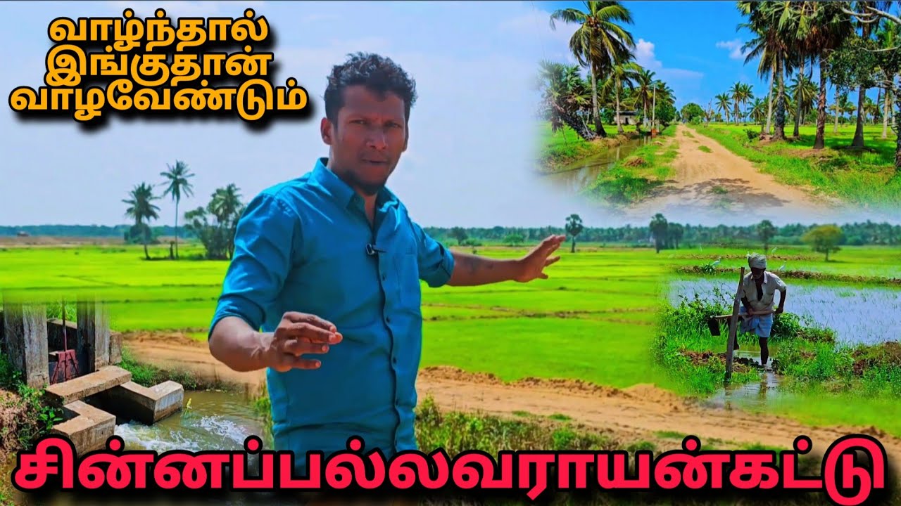 வாழ்ந்தால் இப்படி கிராமங்களில்தான் வாழவேண்டும்👍சின்னப்பல்லவராயன்கட்டு முட்கொம்பன் @Spseelanvlogs126 