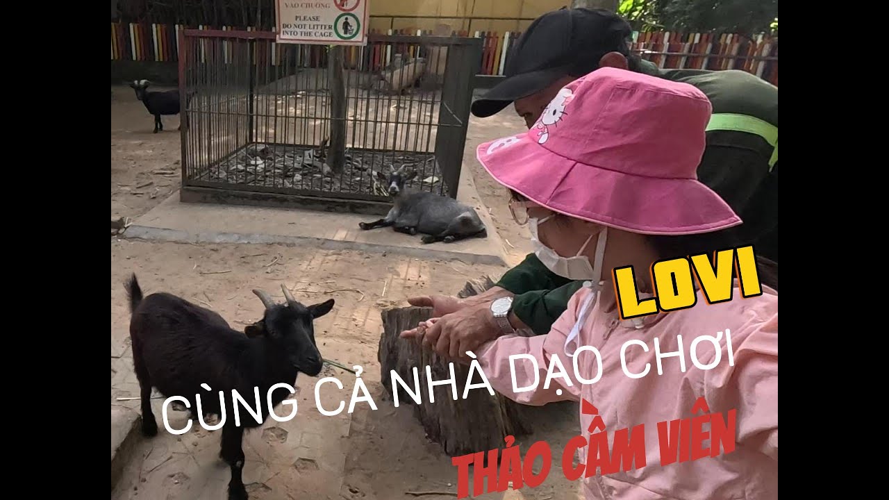 THẢO CẦM VIÊN SÀI GÒN 2026 LOVI & FAMILY