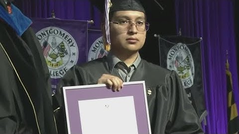 Study finds AI is impacting entry-level tech jobs