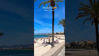 Playa S’arenal - Mallorca🇪🇸🌊🤩☀️🏖️ #mallorca #spain #beach #nature #paradise #sunbathe #relax