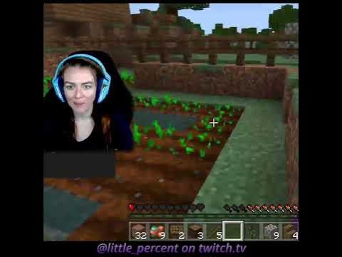 Watching the Fairy Cult Build Their Empire - Minecraft #gaming #