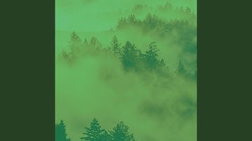 Sublime Backdrops for Deep Focus