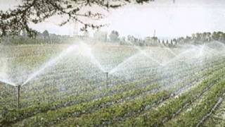 ACQUA: SOS ORO BLU, TROPPI SPRECHI IN AGRICOLTURA