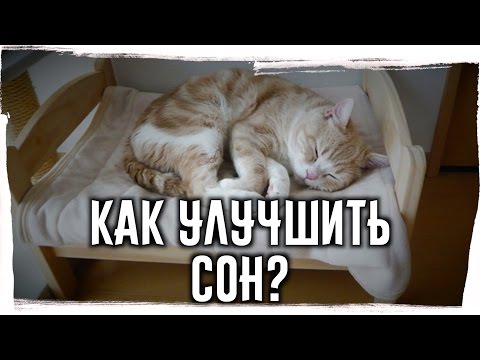 Видео: 3 способа сделать костюм чеширского кота
