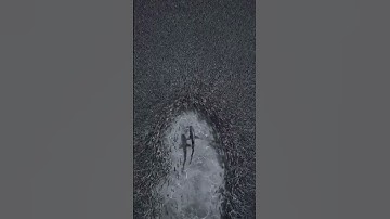 Motivation wallpaper that you need 💎