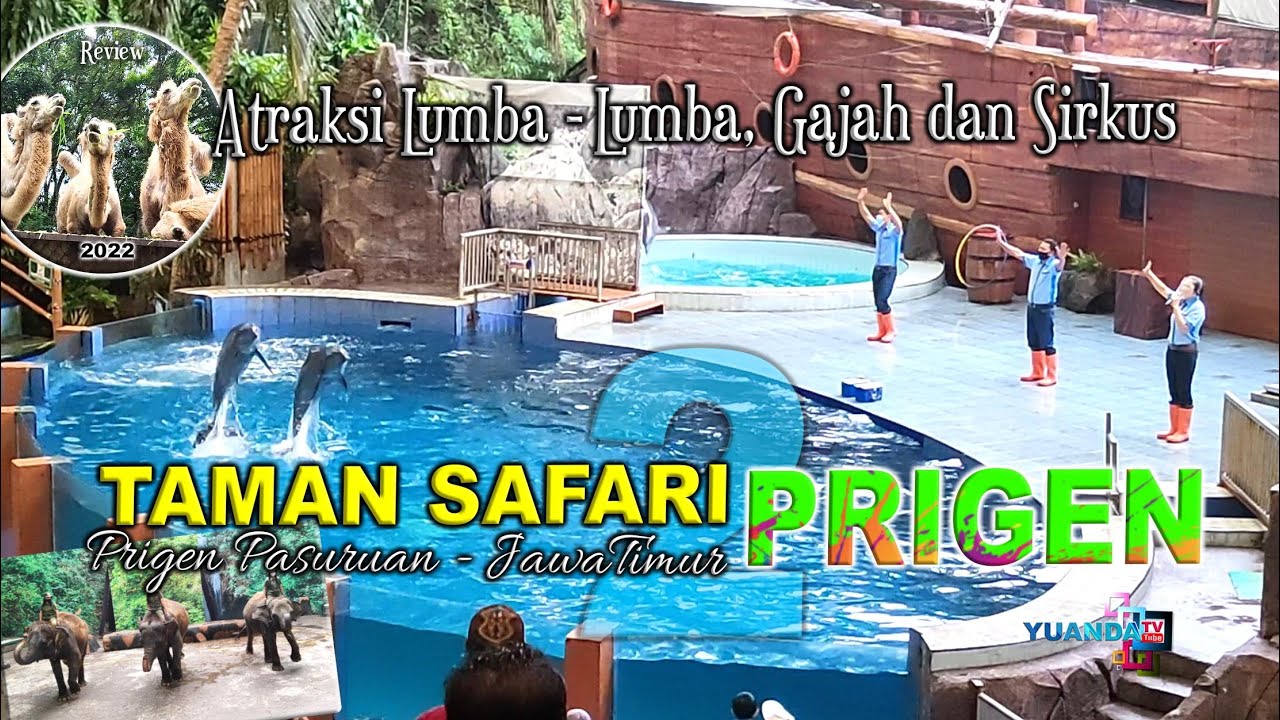 taman safari prigen ada kolam renang