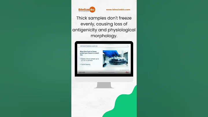 Cryosectioning Hack #2: Freeze Your Tissues Right