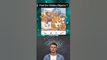 Find the Hidden objects? #shorts
