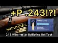 Feel the power 243 winchester ppu 100gr ammo test