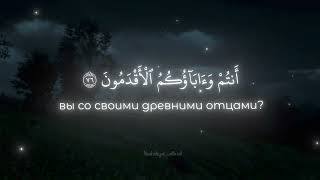 Sura: Ash-Shuara 🫀Чтец: Юсуф Ас-Сакир 🎙️