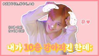 (ENG SUB) [NCT 정우] 댕댕이가 있었는데요.. 없었습니다.. (a.k.a 10층 강아지)