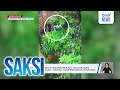 5-anyos na babaeng nangangaroling, natagpuang patay sa loob ng sako; biktima,... | Saksi