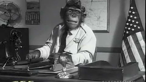 Chimp Channel Andy Griffith Show