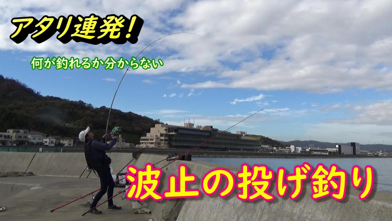 冬の投げ釣り 岡山の波止はまだまだ活性高めです Youtube 冬の投げ釣り 岡山の波止はまだまだ活性高めです Youtube