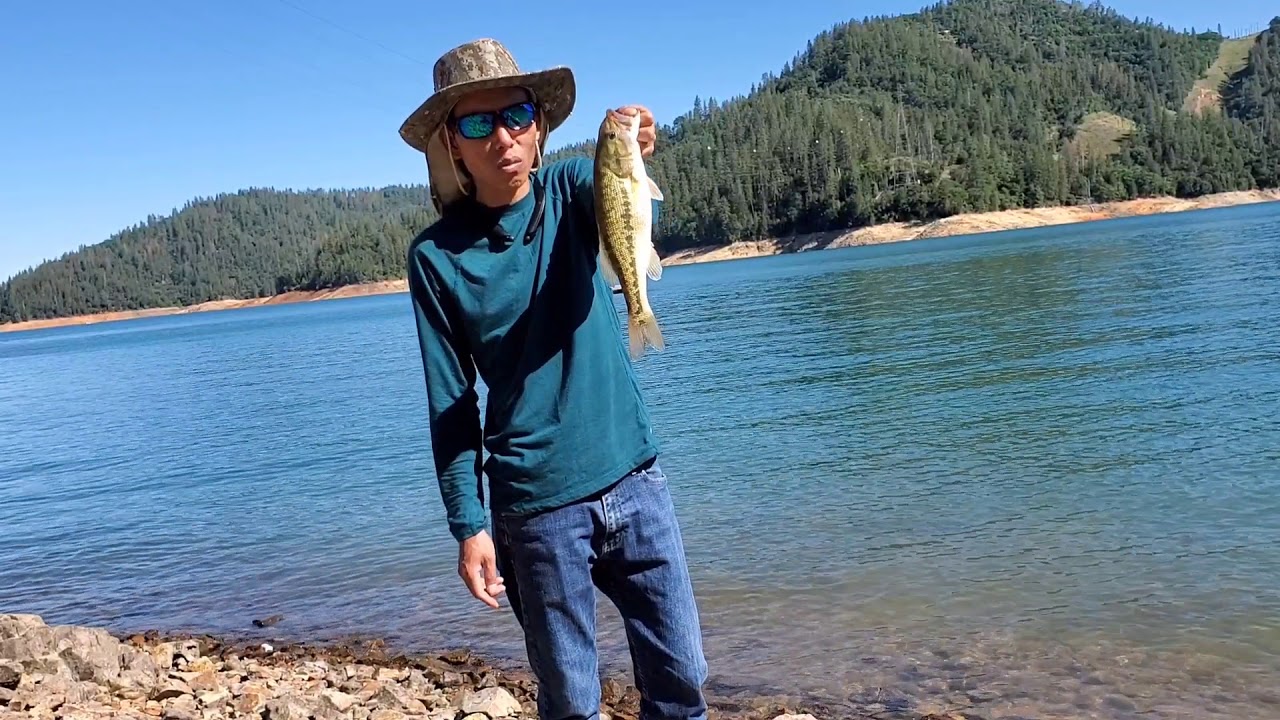 Bass fishing shasta lake (6_18_2020) - YouTube