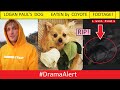 Logan Paul's Dog Kong EATEN by COYOTE! (FOOTAGE) #DramaAlert KSI RESPONDS! Jake Paul ALMOST DIES!