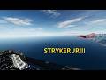 Stryker Jr. proves his worth in air combat 😎 / DCS