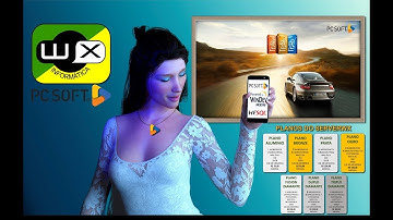 Windev - Desenvolvendo diferentes formas de Crud com e sem query