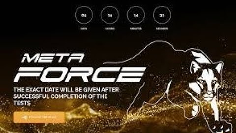 MetaForce s3 and s6 Explanation I #spxcafe