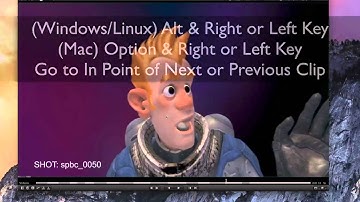 Shotgun Software Tip 17: Hotkeys In & Out Marks in RV