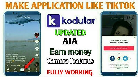 Make a Application Like Tiktok | Updated Aia | In Kodular , appybuilder In hindi || Earn 100$ Daily