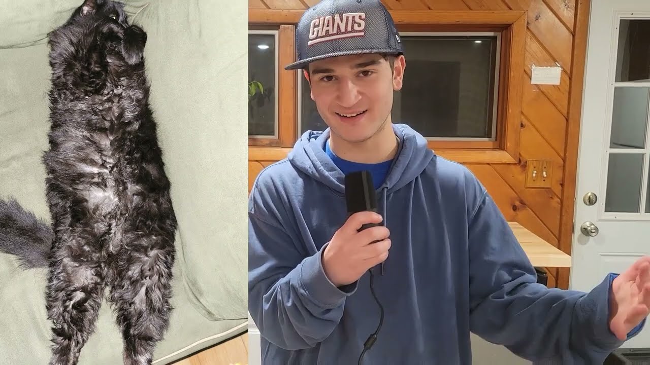 31st Annual Cat Racing Championship