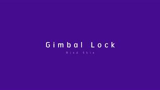 Gimbal Lock & Bind Skin