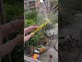 Flower Water Gun Toy for Kids 🌸💦 Fun Summer Spray Blaster#shorts