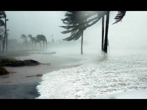 Consequências do Ciclone Assola Vilankulo | Uma jornada visual impressionante
