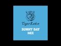 TIGER RADIO #1 | Indie Rock, Electronica, Alternative Mix