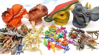 Dinosaur Bone, Jurassic World Toys, Mini Dinosaur Eggs In Giant Dinosaur Heads 공룡 머리 장난감