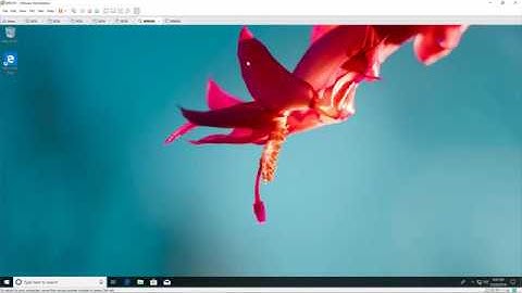Prevent changing Theme via GPO in Windows Server 2019