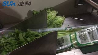 celery packing machine/vegetable packing machine with servo motors